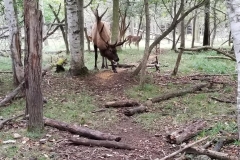 72820084_556952238460373_5482494357133066240_n