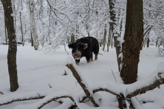 12729375_1064210623640293_148662597629340435_n