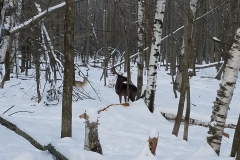 27907783_1755290654532283_413427295859275535_o