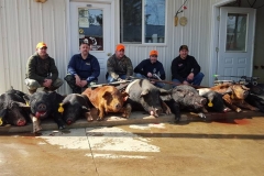 29261385_1789378587790156_5980925676906086400_n