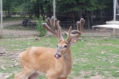 39509066_1998014446926568_7300962013948149760_n