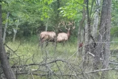 39514772_1998014260259920_886651657016836096_n