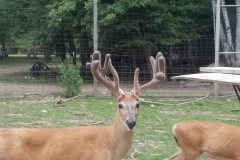 39610003_1998014523593227_3319929837711261696_n