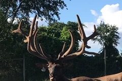 39743656_1998014343593245_2916983586617819136_n