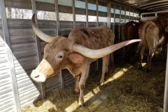 56248046_2324676544260355_2842467600544301056_n