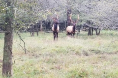 70142344_2636421049752568_6106958962471469056_n