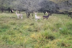 70955949_2636420896419250_5552063936745963520_n